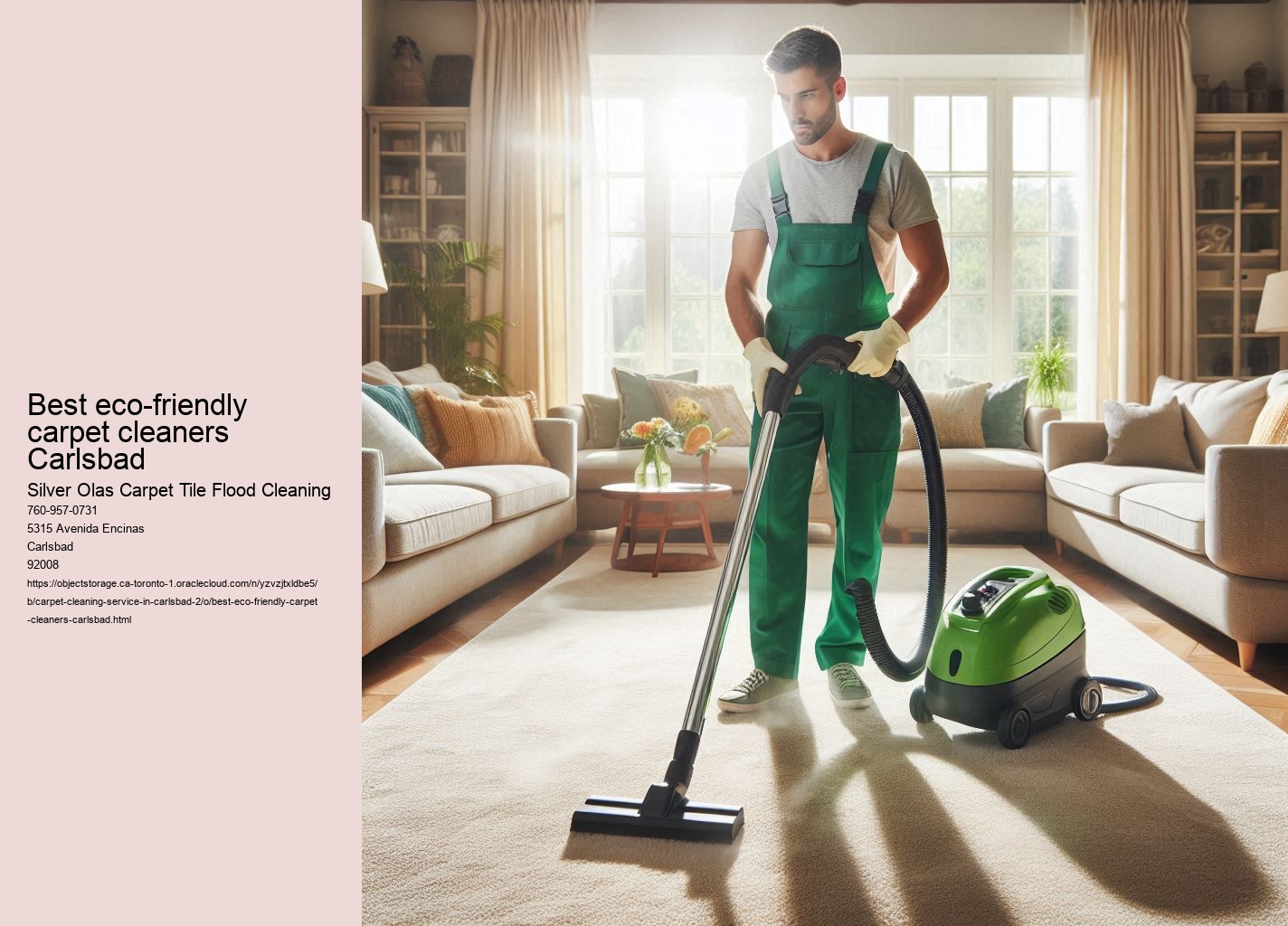 Best eco-friendly carpet cleaners Carlsbad