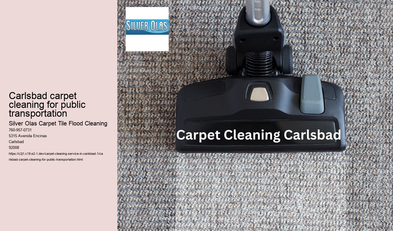 Carlsbad carpet cleaning for public transportation