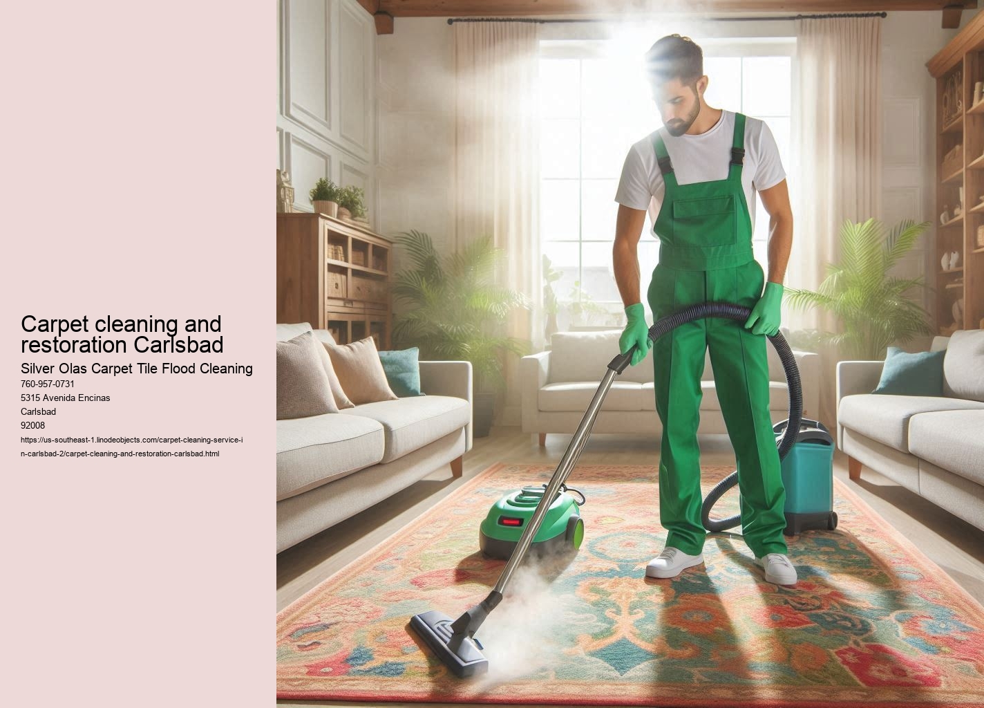 Carpet cleaning and restoration Carlsbad