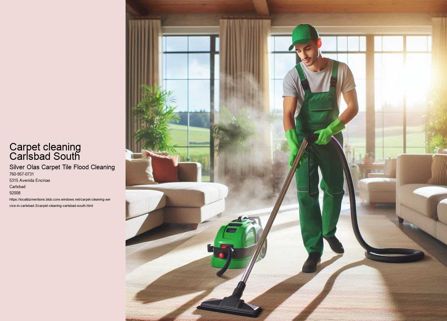 Carpet cleaning Carlsbad South
