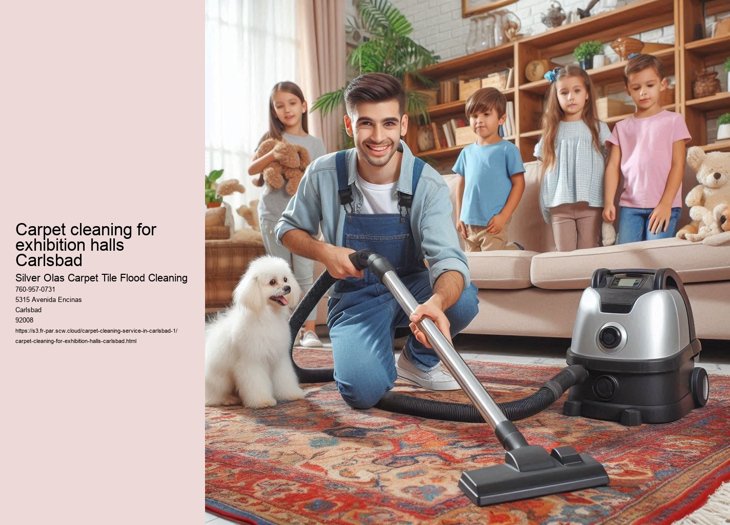Carpet cleaning for exhibition halls Carlsbad