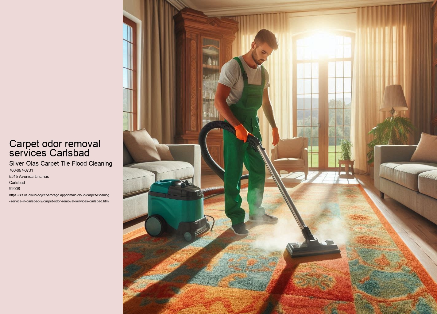 Carpet odor removal services Carlsbad