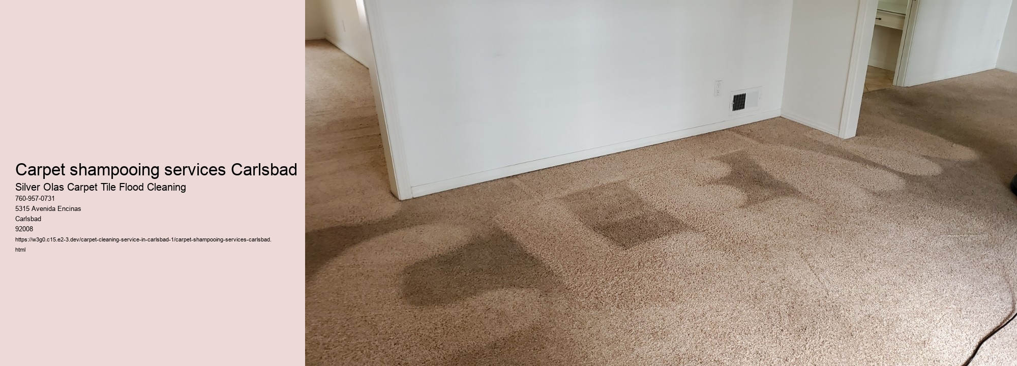 Carpet shampooing services Carlsbad