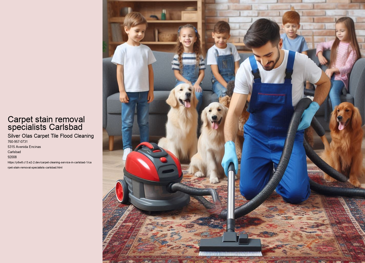 Carpet stain removal specialists Carlsbad