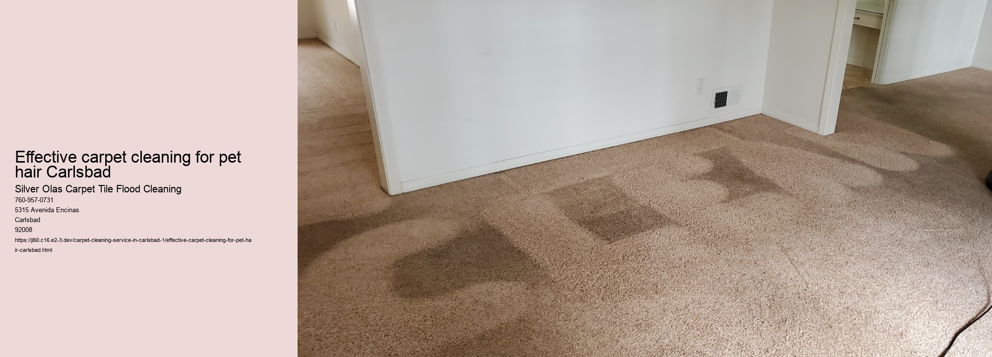Effective carpet cleaning for pet hair Carlsbad