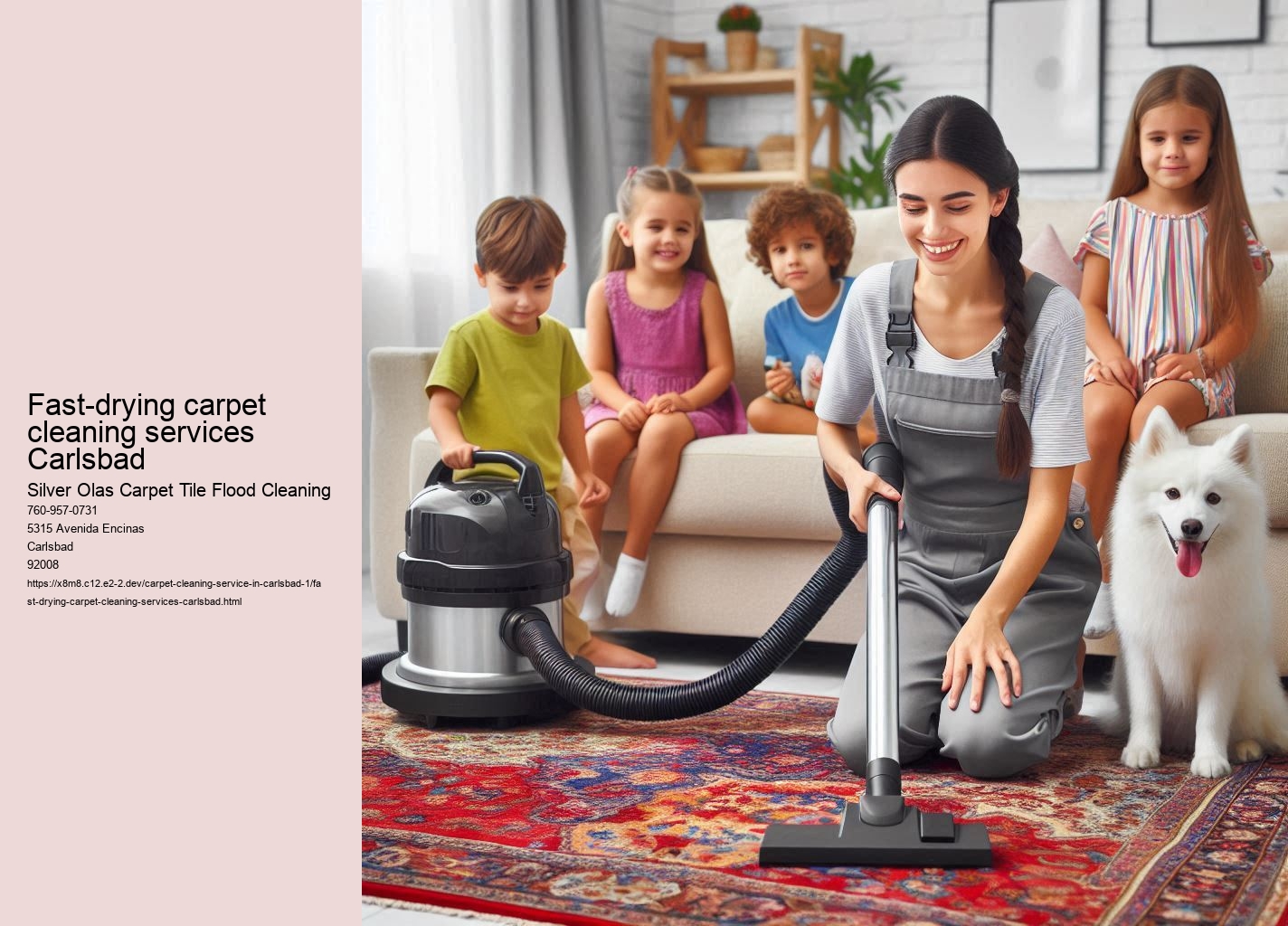 Fast-drying carpet cleaning services Carlsbad